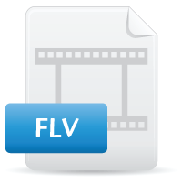 ways to perform recovery process of flv file